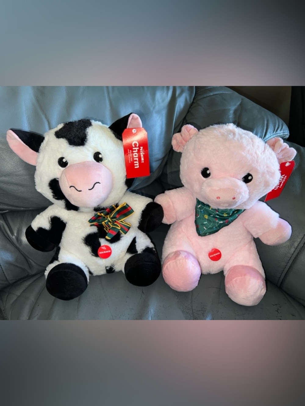 PetSmart Charities Chance & Friends "Wish" plush dog toys. Set of 2.
